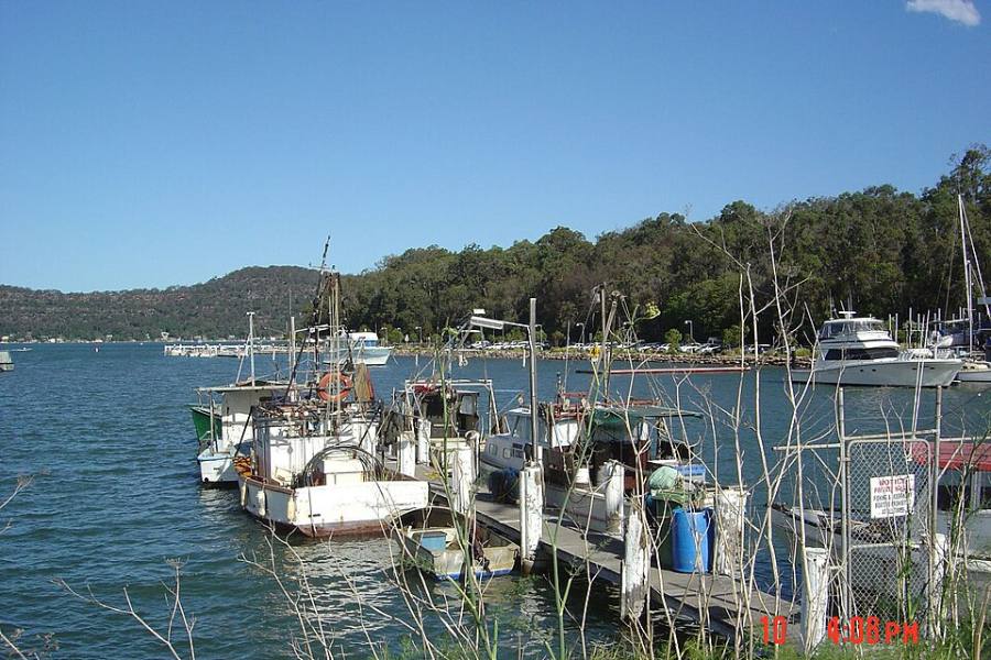Sydney Boat Hire (self-drive pontoon)