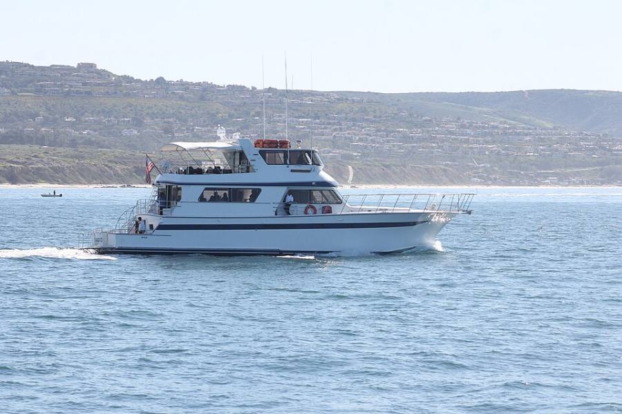 Blue Moon (Harbour Cruises Online)